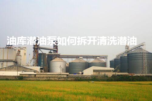 油库潜油泵如何拆开清洗潜油泵清洗的秘密与技巧大揭秘