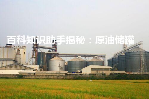 百科知识助手揭秘：原油储罐清洗器厂家排名第一的惊人秘密！