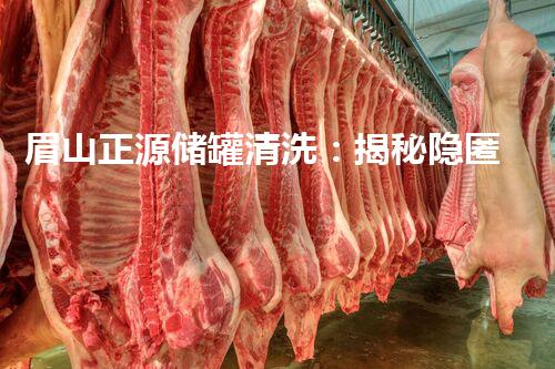 眉山正源储罐清洗：揭秘隐匿的污染源，你所不知道的真相！