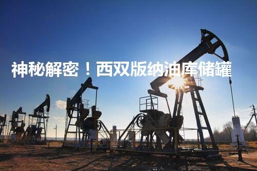 神秘解密！西双版纳油库储罐清洗背后的惊人秘密是什么？
